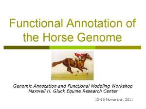 Functional Annotation of the Horse Genomic Annotation and