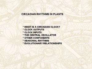 CIRCADIAN RHYTHMS IN PLANTS WHAT IS A CIRCADIAN