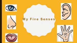 My Five Senses Objectives Students will be able