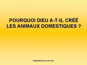 POURQUOI DIEU ATIL CR LES ANIMAUX DOMESTIQUES Diaporamasalacon