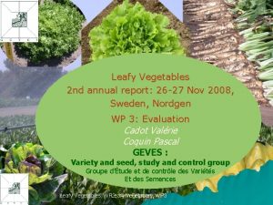 Leafy Vegetables 2 nd annual report 26 27