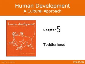 Human Development A Cultural Approach Chapter 5 Toddlerhood