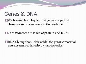 Genes DNA We learned last chapter that genes