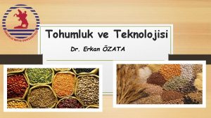 Tohumluk ve Teknolojisi Dr Erkan ZATA Ders ierii