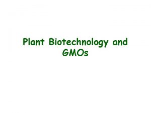 Plant Biotechnology and GMOs Plant Biotechnology For centuries