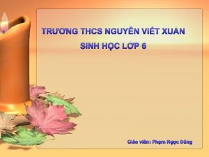 TRNG THCS NGUYN ViT XU N SINH HC