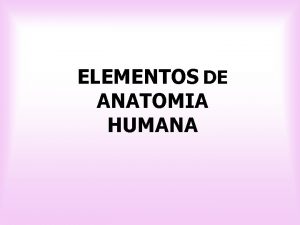ELEMENTOS DE ANATOMIA HUMANA Anatomia Cincia que estuda