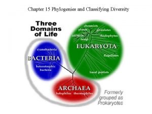 Chapter 15 Phylogenies and Classifying Diversity Ch 15