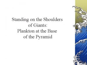 Standing on the Shoulders of Giants Plankton at