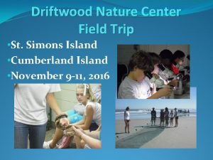 Driftwood Nature Center Field Trip St Simons Island