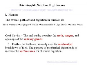 Heterotrophic Nutrition II Humans https www youtube comwatch