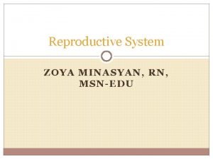 Reproductive System ZOYA MINASYAN RN MSNEDU Benign Prostate