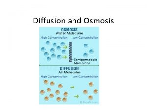 Diffusion and Osmosis Why is diffusion and Osmosis