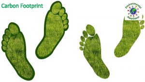 Carbon Footprint What is the carbon footprint The