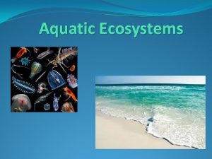 Aquatic Ecosystems Aquatic organisms are affected primarily by