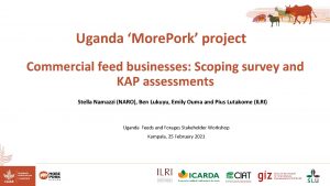 Uganda More Pork project Commercial feed businesses Scoping