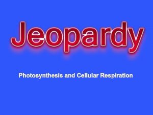 Photosynthesis and Cellular Respiration Photosynthesis Light Reactions Calvin