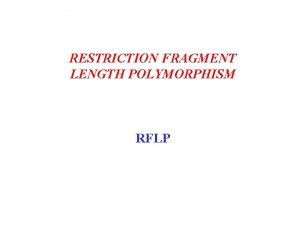 RESTRICTION FRAGMENT LENGTH POLYMORPHISM RFLP 1 Extraction The