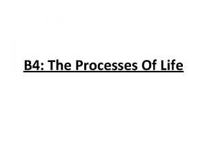B 4 The Processes Of Life Life Processes