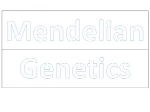 Mendelian Genetics CrossBreeding Gregor Mendel worked with peas