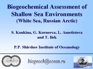 Biogeochemical Assessment of Shallow Sea Environments White Sea