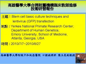 Stem cell basic culture techniques and lentivirus GFP