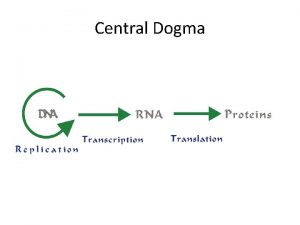Central Dogma Semiconservative Replication each strand has 1
