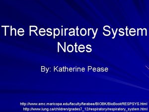 The Respiratory System Notes By Katherine Pease http