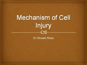 Mechanism of Cell Injury Dr Shoaib Raza Principals