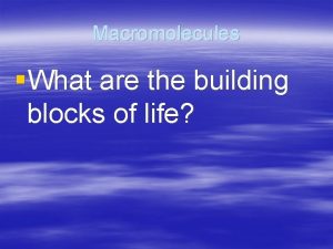 Macromolecules What are the building blocks of life