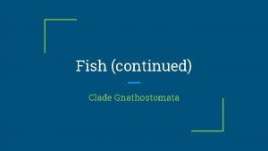 Fish continued Clade Gnathostomata Clade of all jawed