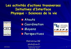 Les activits dactions transverses Initiatives dInterface Physique Sciences