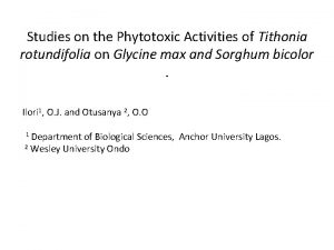 Studies on the Phytotoxic Activities of Tithonia rotundifolia