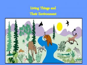 Living Things and Their Environment Ecology Ecology is
