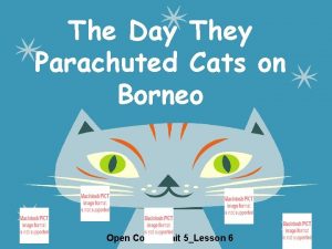 The Day They Parachuted Cats on Borneo Open