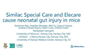 Similac Special Care and Elecare cause neonatal gut