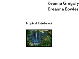 Keanna Gregory Breanna Bowles Tropical Rainforest The tropical