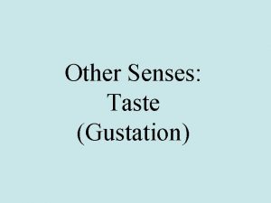 Other Senses Taste Gustation Taste Taste is a
