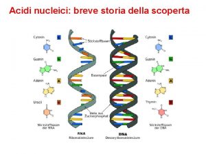 Acidi nucleici breve storia della scoperta Nel 1869