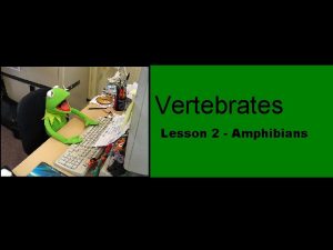 Vertebrates Lesson 2 Amphibians Amphibians Aquatic as larvae