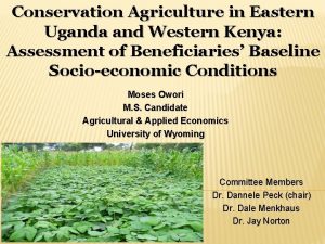 Conservation Agriculture in Eastern Uganda and Western Kenya