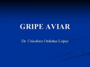 GRIPE AVIAR Dr Crisoforo Ordoes Lpez GRIPE AVIAR