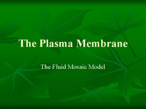 The Plasma Membrane The Fluid Mosaic Model There
