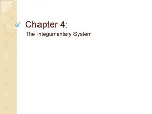 Chapter 4 The Integumentary System The Integumentary System