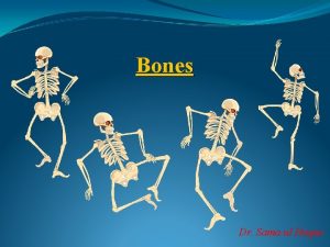 Bones Dr Sama ul Haque Objectives Define Skeleton
