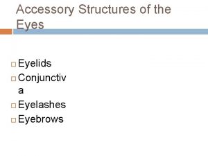 Accessory Structures of the Eyes Eyelids Conjunctiv a