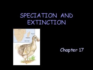 SPECIATION AND EXTINCTION Chapter 17 A What Is