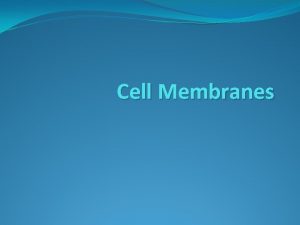 Cell Membranes The cell membranes purpose is to