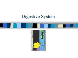 Digestive System Digestive System How does the digestive