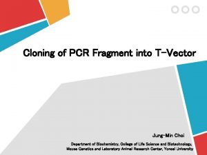 Cloning of PCR Fragment into TVector JungMin Choi